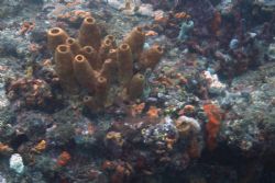 45 ft below. by Juliana Metzger 